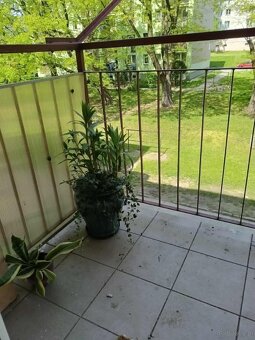 Mieszkanie z niskim czynszem - 3 pokoje - 6