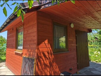 Urokliwa działka ROD "Kopernik" - 6