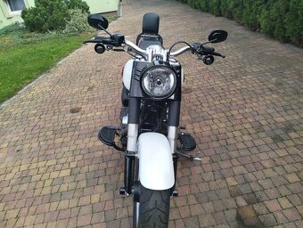 FAT Bob - 6