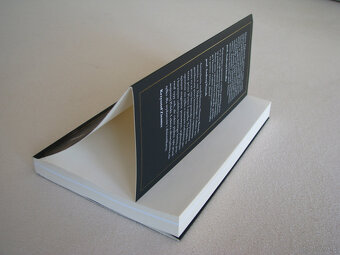 Magnat z pałacu prasy Opowieść o Marianie Dąbrowskim, Piotr - 6