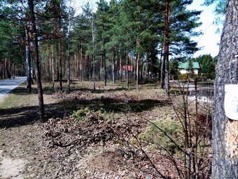 Leśno-budowlana - 6