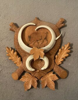 Sprzedaję poroże. - 6