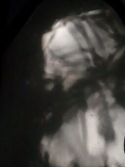 Obraz foto - 6