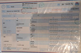 Szczeniaki Gończy Chorwacki ZKWP FCI - 6