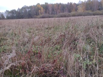 Sprzedaz dzialki - 6