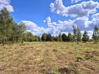 Dom Parterowy - Franciszków-w obok Bolimowskiego Parku - 6