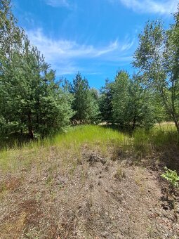 Działki budowlane o powierzchni 1253m2-1686m2, Prażuchy Nowe - 6