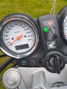 Sprzedam horneta 600 - 6