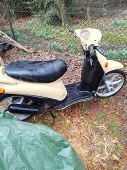 Sprzedam z powodu wyprowadzki,pilnie - 6