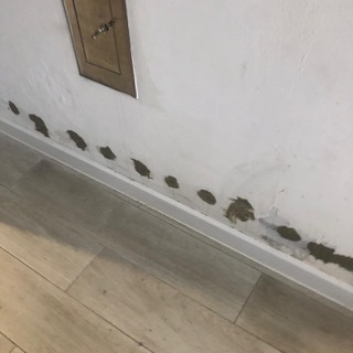 iniekcja krystaliczna podciąganie kapilarne wilgoć - 6