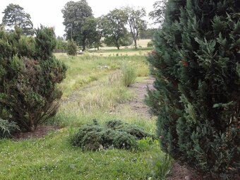 ATRAKCYJNA DZIAŁKA  UZBROJONA DOM LETNI BLISKO TRÓJMIASTA. W - 6