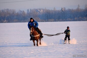 źrebak - 6