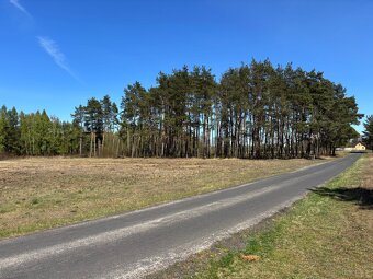 Działka z siedliskiem 1,51 ha Gąba woj.mazowieckie - 6