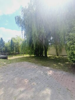 Nowoczesny dom 186 m², działka 1105 m2, Piotrów - 6