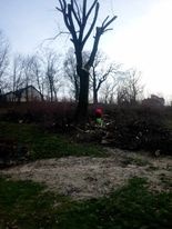 Opróżnianie mieszkań, Wywóz śmieci, złomu, itp. - 6