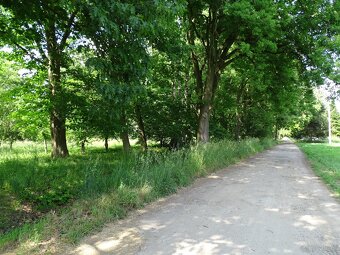 Działka pod inwestycję mieszkaniową, Zajączków - 6