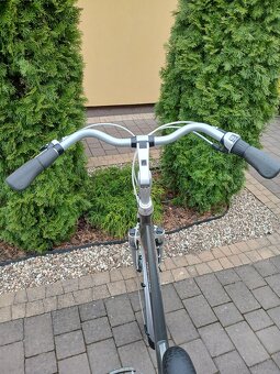 Rower holenderski Batavus - 6