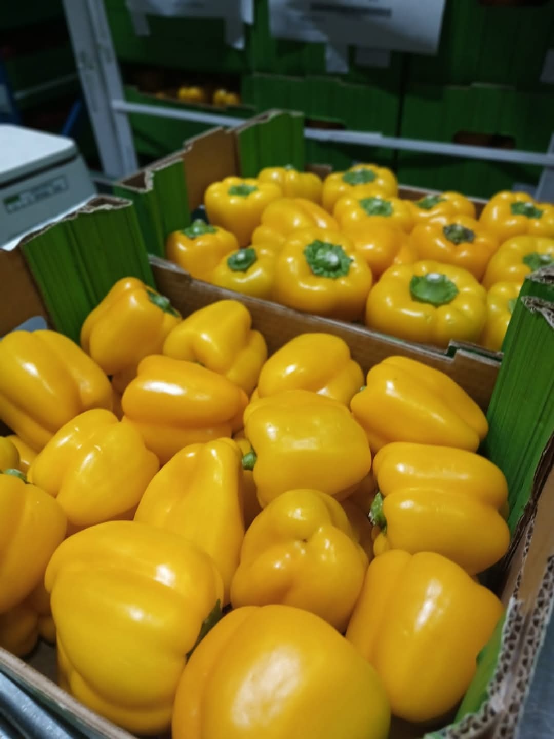 Import owoców i warzyw - 7