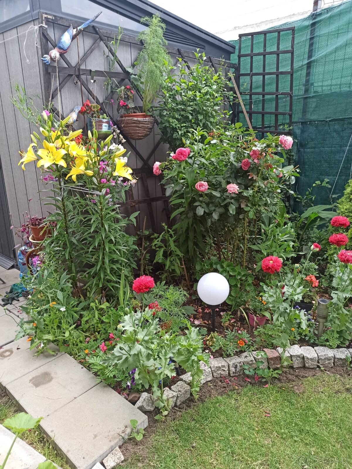 Sprzedam mieszkanie bez opłat czynszowych M-3 w Białołęce - 7