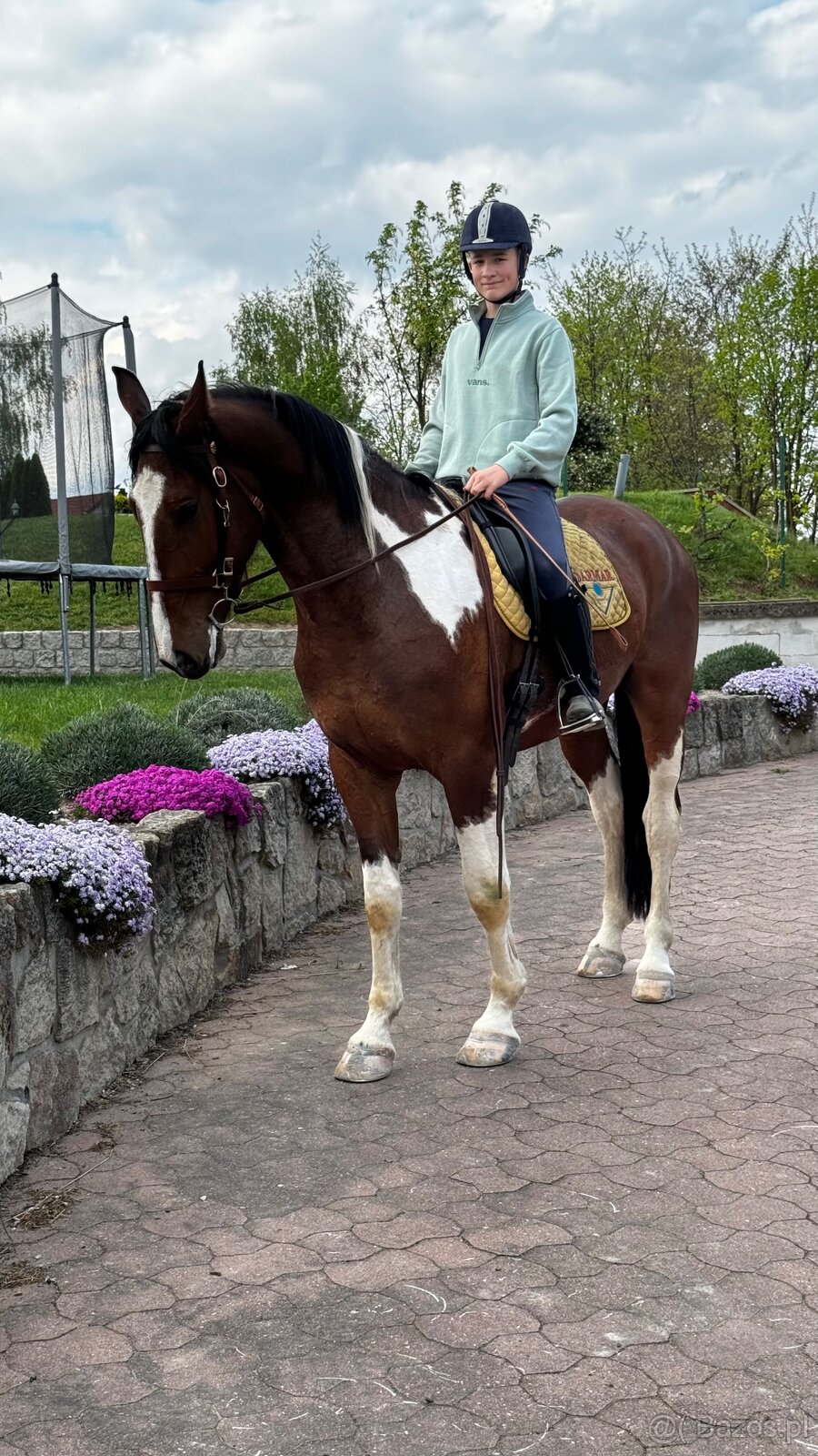 Sprzedam - 7