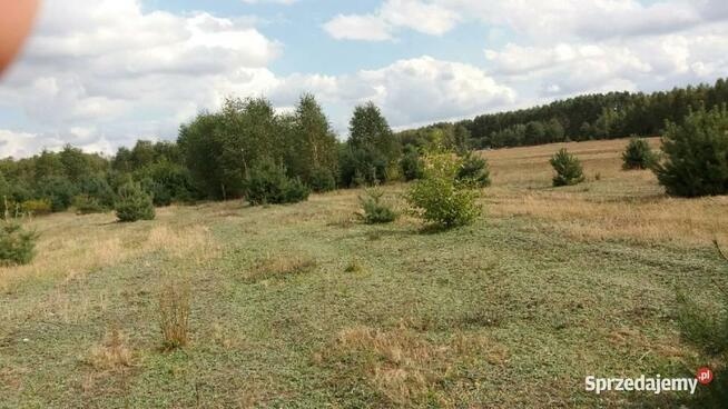 Działka 1050m gm. Aleksandrów Łódzki - Ciężków - 7