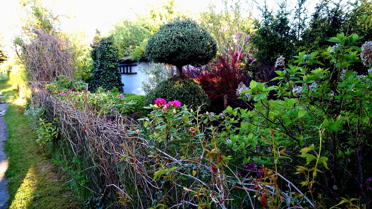 SPRZEDAM Działkę ogrodową w Słupsku 447m². - 7