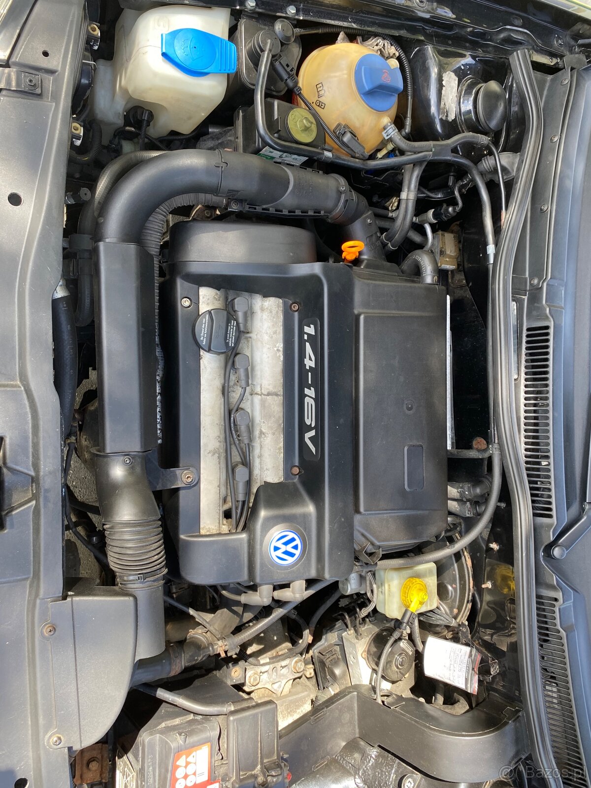 Golf4 - 7