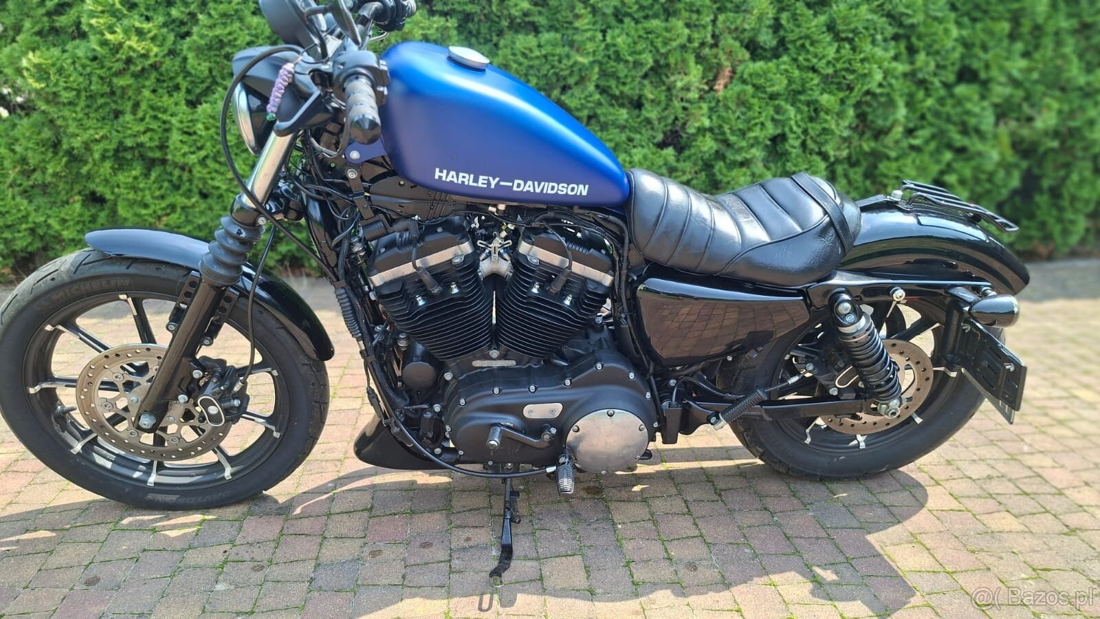 Sportster IRON Harley Davidson - 7