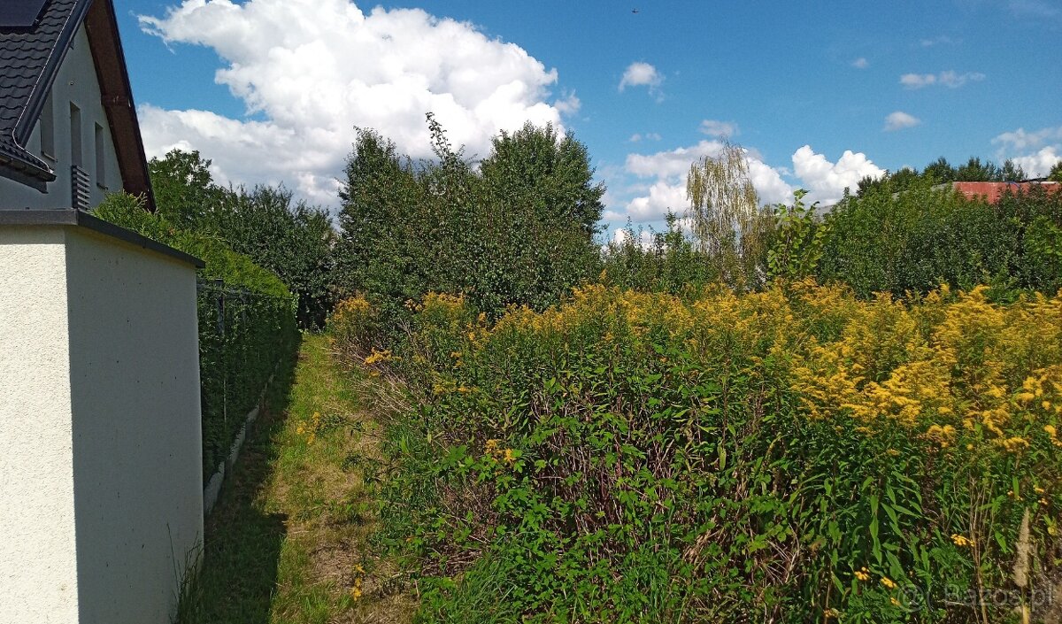 Białołęka 1000m2 ul.Białołęcka - działka budowlana - 7