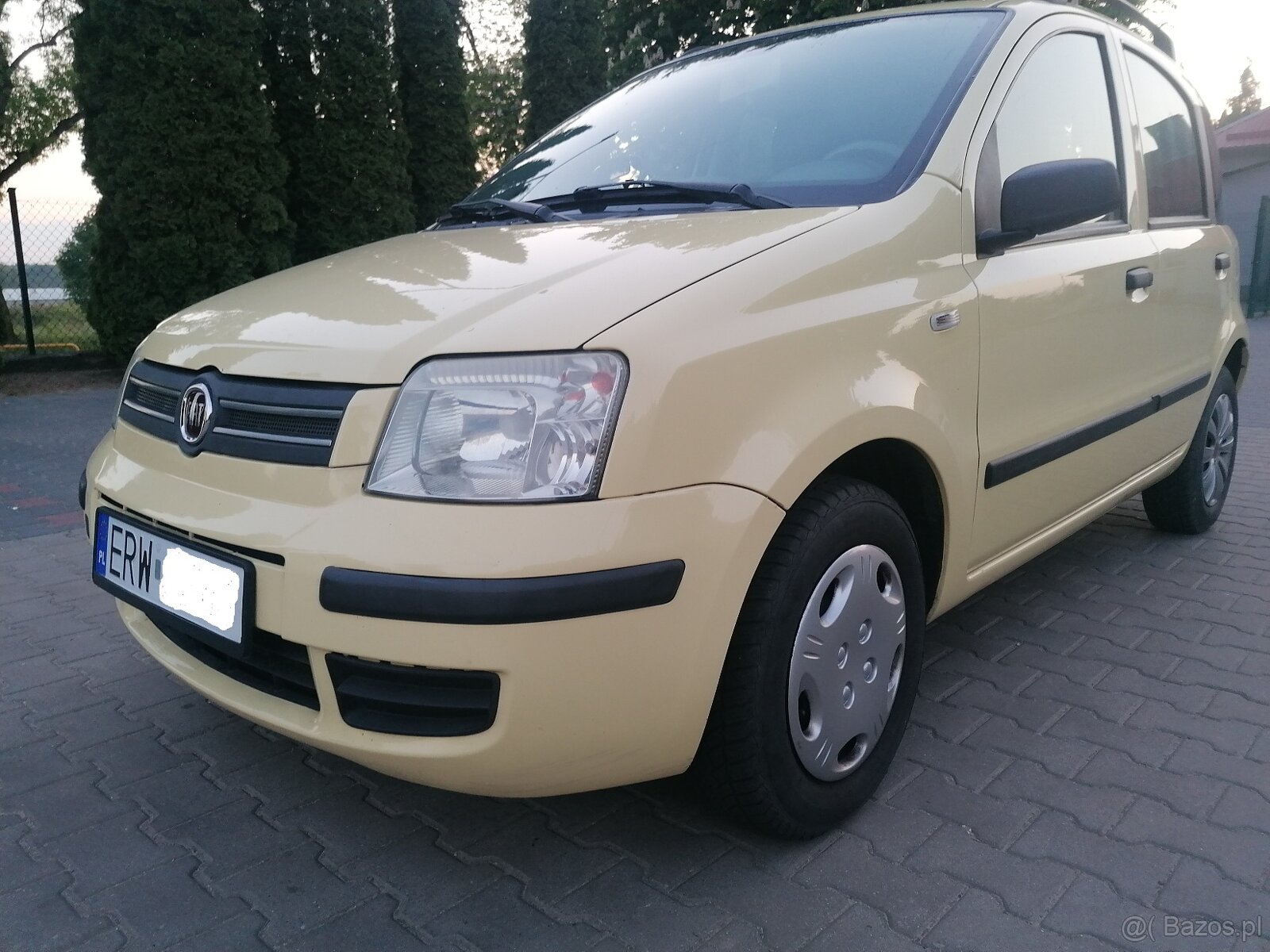 Panda - 7