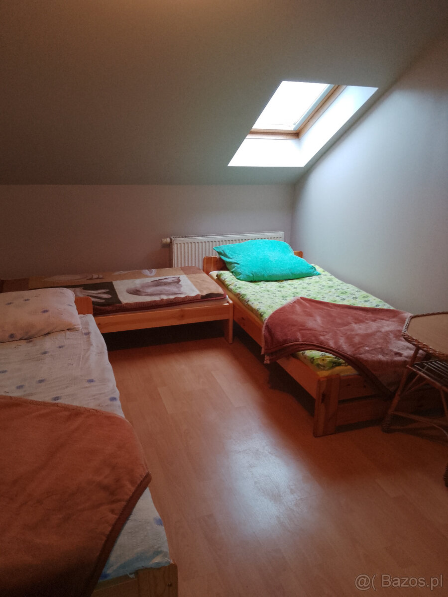 noclegi pokoje gościnne i pracownicze - 7
