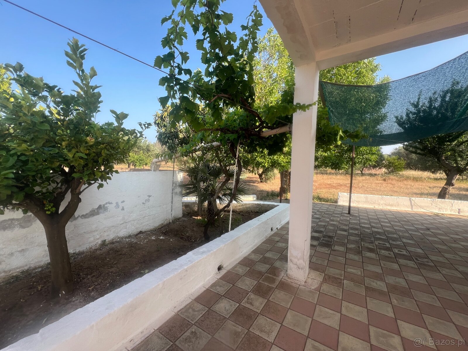 Willa 8 km od morza, południowe Włochy🇮🇹 - 7