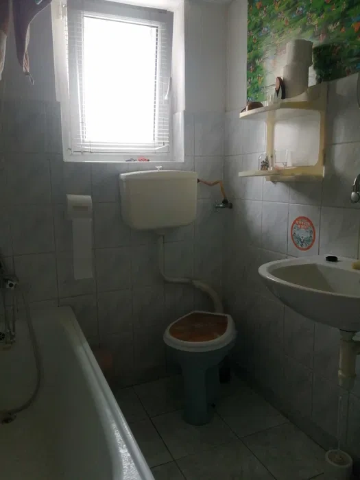 Cactus Sprawdz go w warsztacie na godziny tel. 519 853 348 - 7