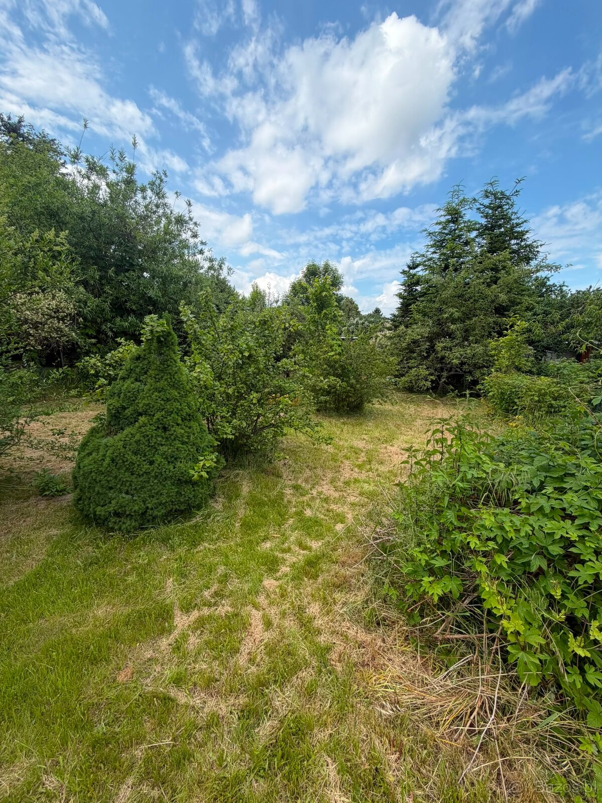 Działka rekreacyjna 400 m² z domkiem – ROD, Kalisz - 7