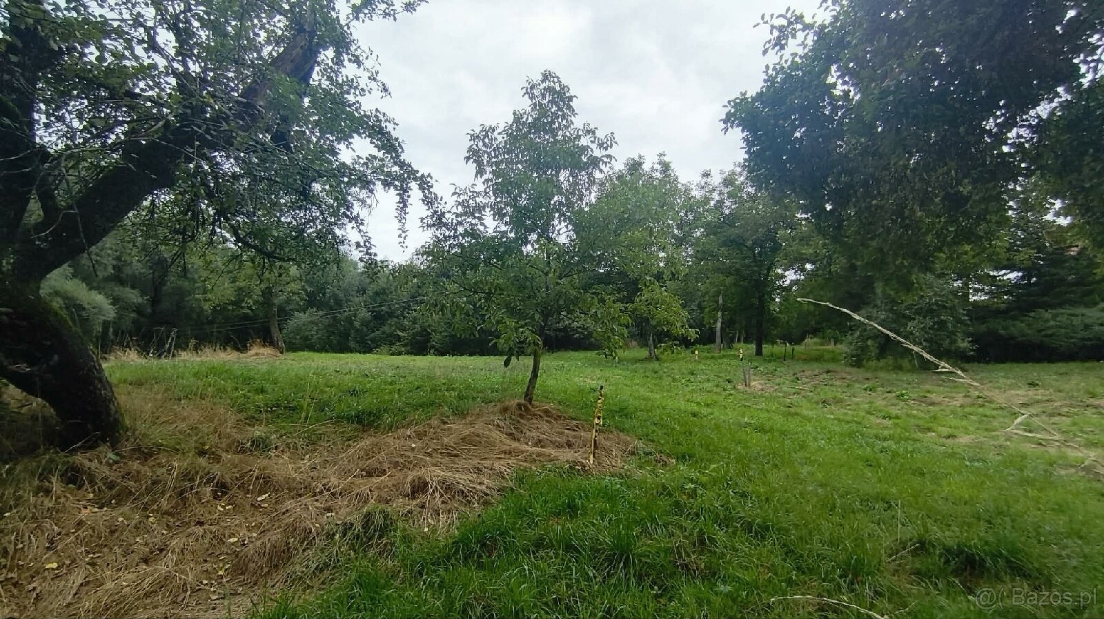Działka bud. 19 arów- Janowice, powiat tarnowski, gm. Pleśna - 7