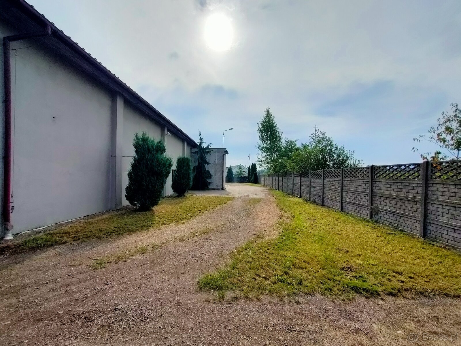 syndyk sprzeda ubojnię - 7