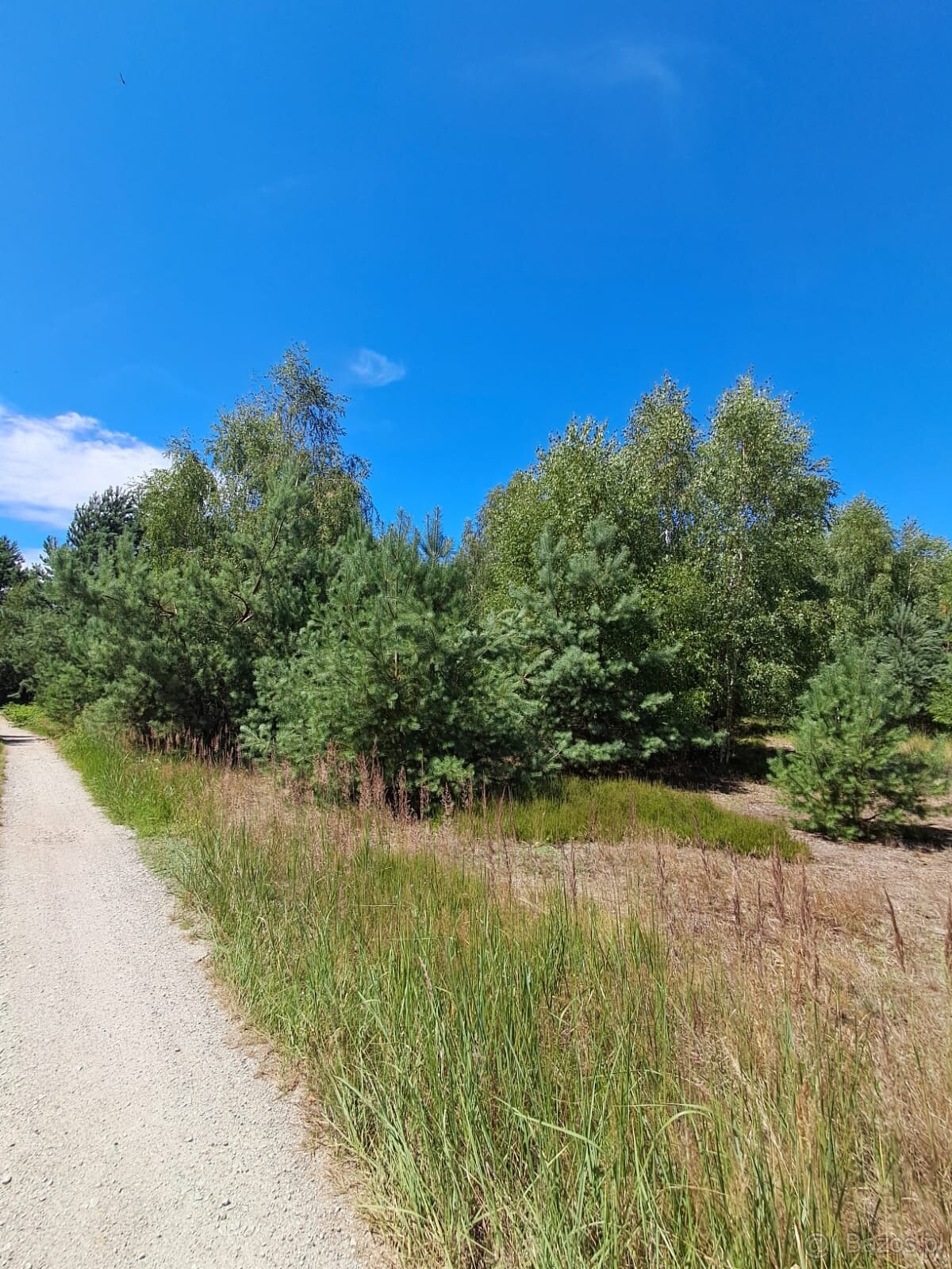 Działka budowlana o powierzchni 1686 m2, Prażuchy Nowe - 7