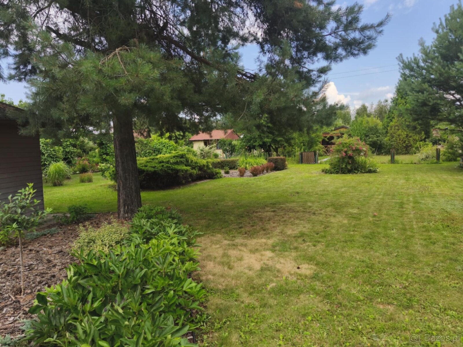 ROD "Słonecznik" Tarnów ul. Ostrogskich - 7