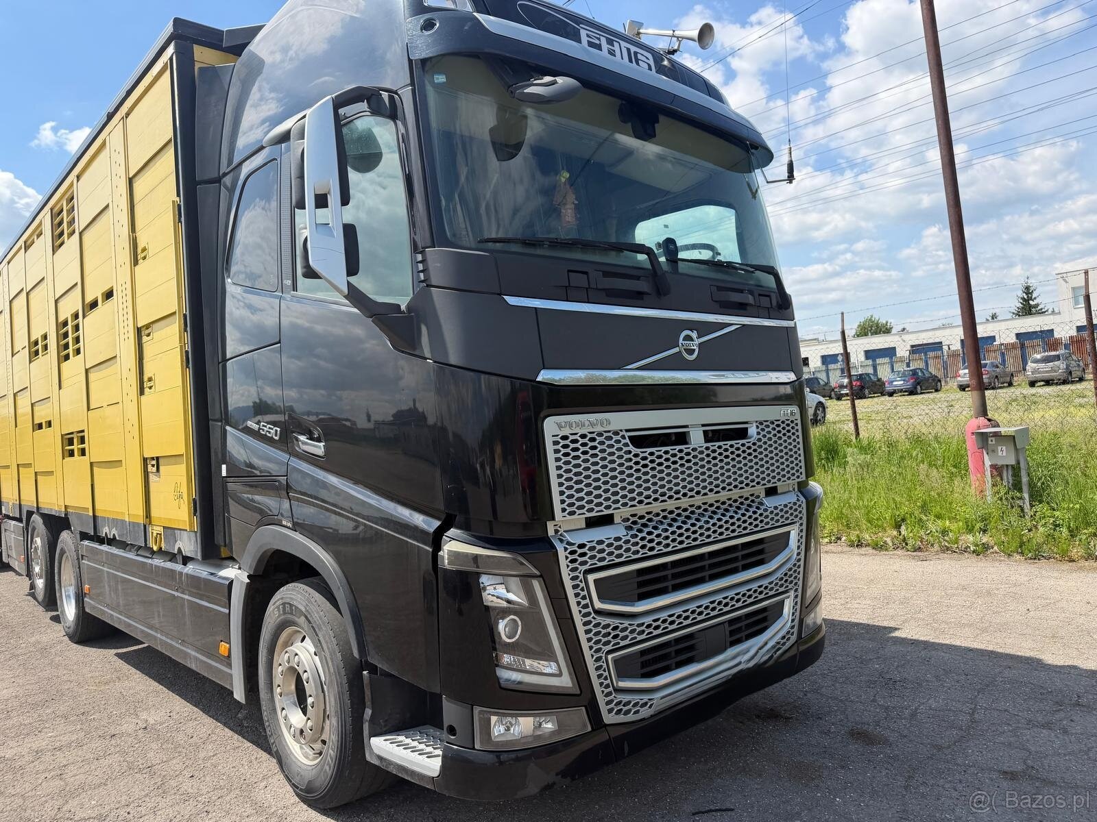 Auto do przewozu Bydła Volvo FH16 550 rok pr 2017 243tys - 7