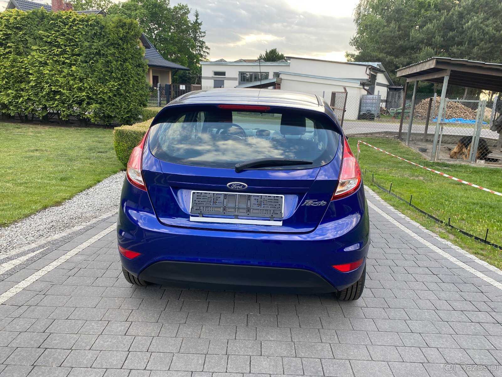 Ford Fiesta Mk7 1.2 Lift 1.25.82 konie - 7