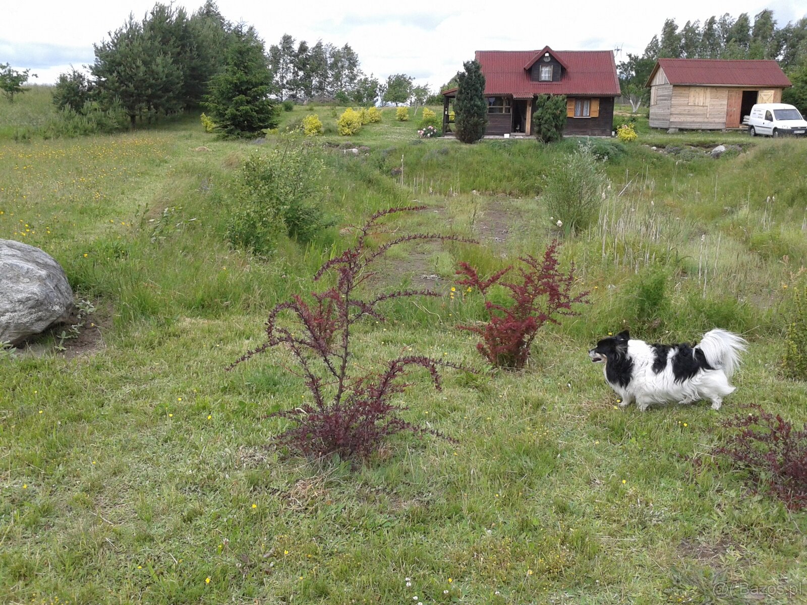 ATRAKCYJNA DZIAŁKA UZBROJONA DOM LETNI BLISKO TRÓJMIASTA. W - 7