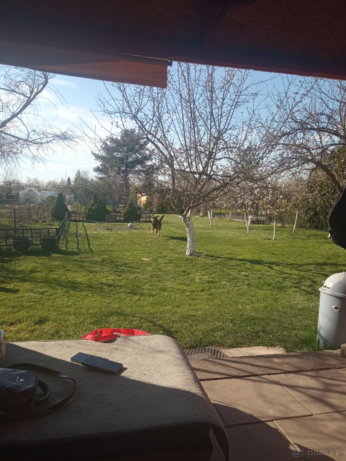 Sprzedam prawo do użytkowania działki ROD - 7