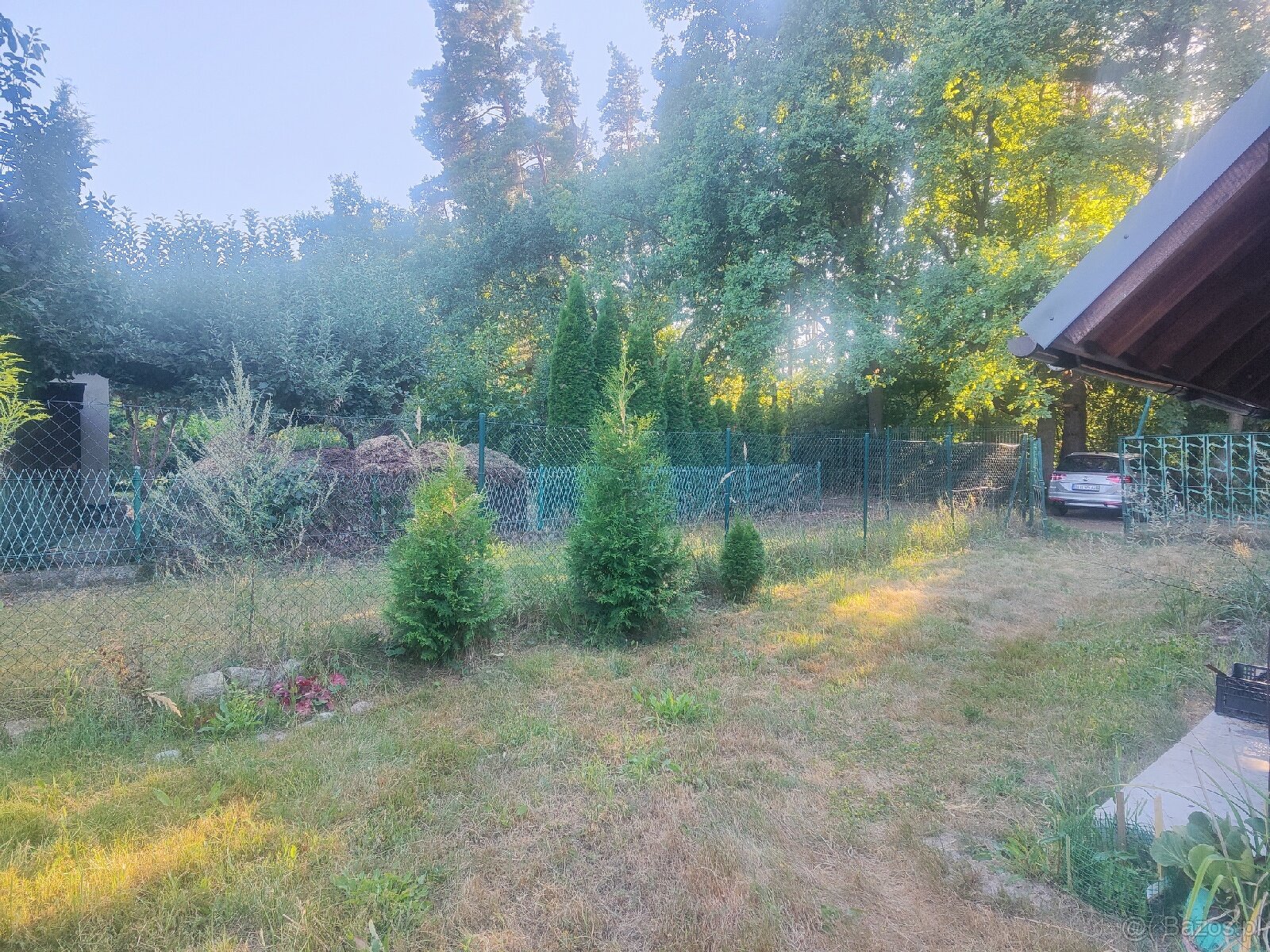 Działka Ogrodowa ok.5 ar Rod Leśny w Lubinie - 7