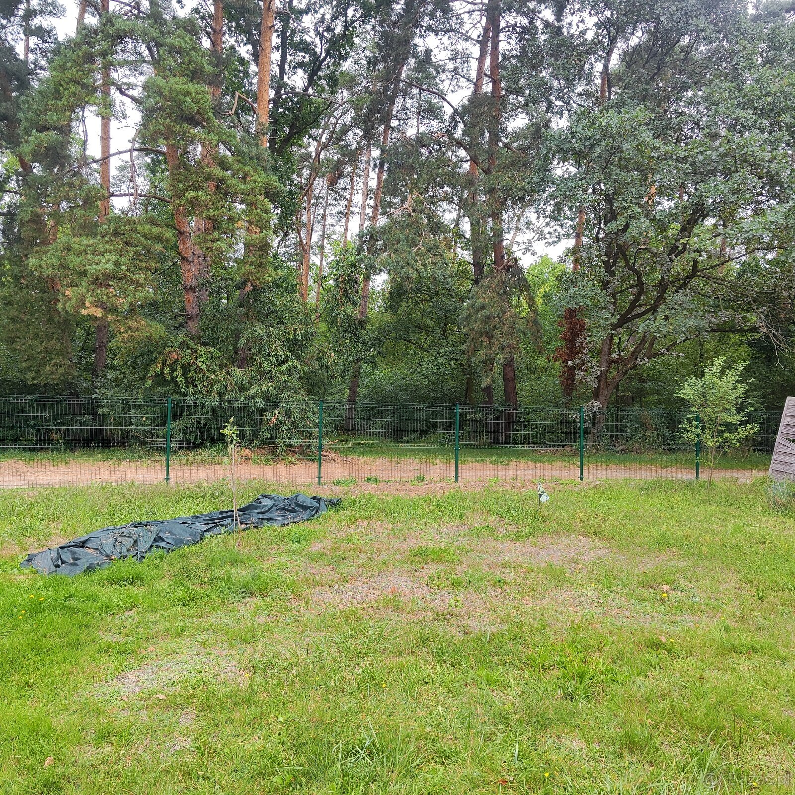 Działka Ogrodowa ok.5 ar Rod Leśny w Lubinie - 7