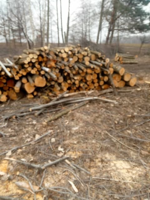 Opróżnianie mieszkań, Wywóz śmieci, złomu, itp. - 7