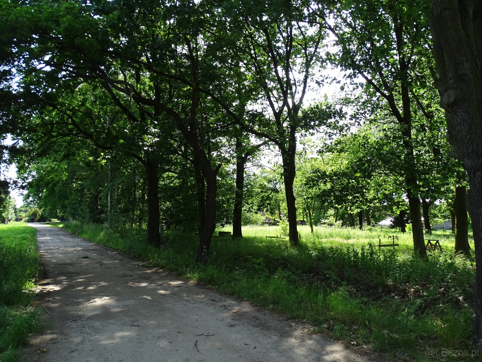 Działka pod inwestycję mieszkaniową, Zajączków - 7