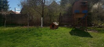 Mieszkanie z ogrodem - 7