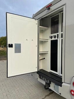Renault Master – Transporter koni 1–2 konie | 2024 - 7