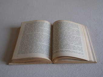 Przygody Hucka, Mark Twain - 7