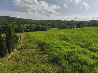 Lipnica Dolna-malownicze miejsce z potencjałem inwestycyjnym - 7